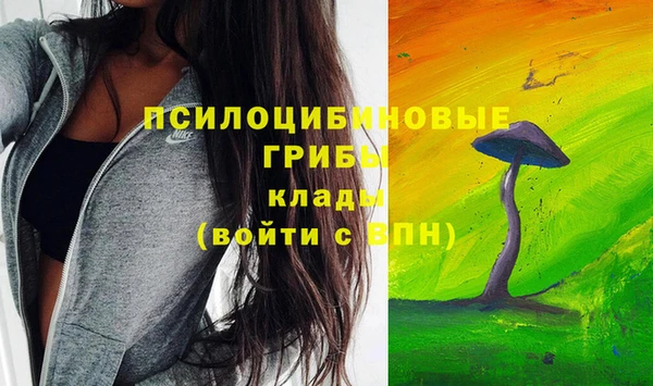 мескалин Гусев